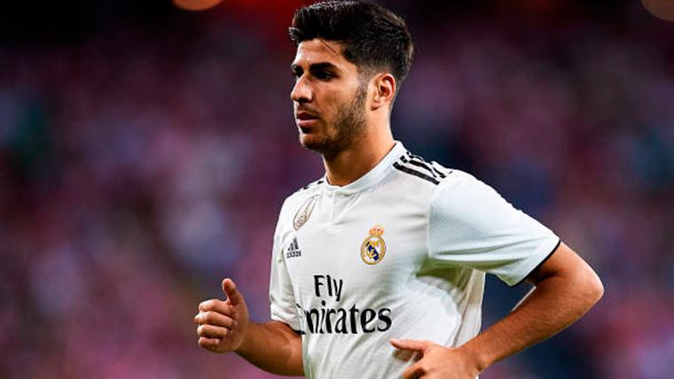 Marco Asensio