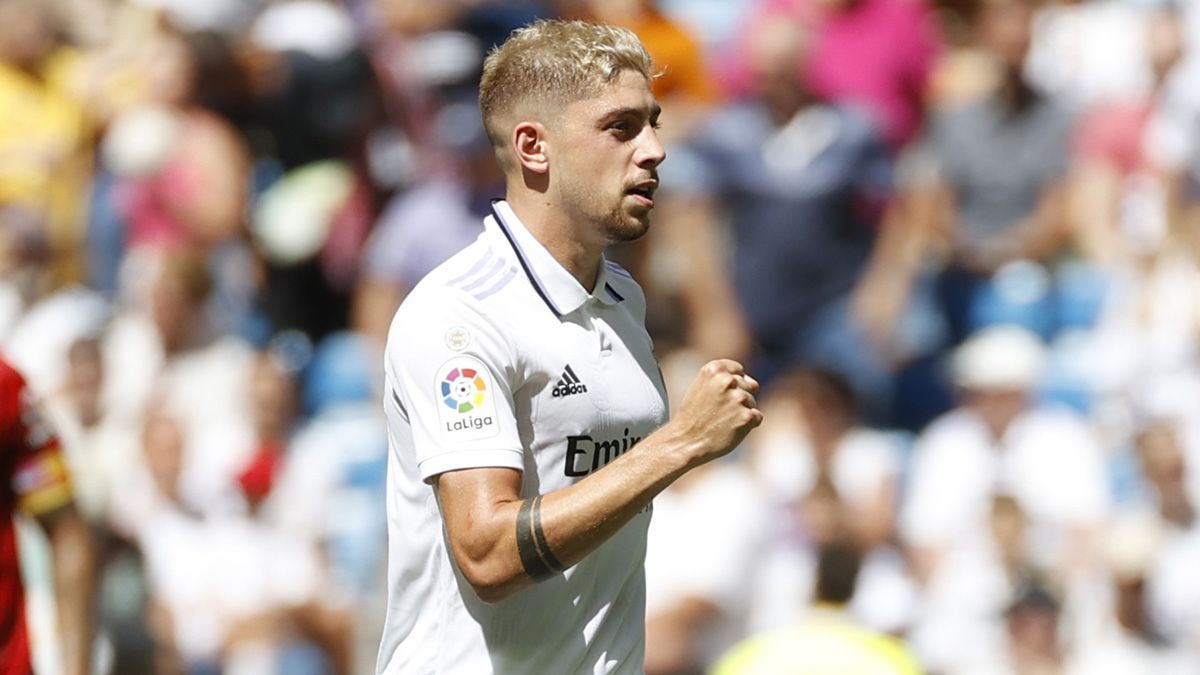 Fede Valvede es una pieza clave en el Real Madrid de Carlo Ancelotti